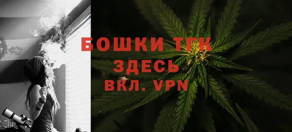 стаф Абаза