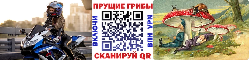 закладка Канск Галлюциногенные грибы ЛСД