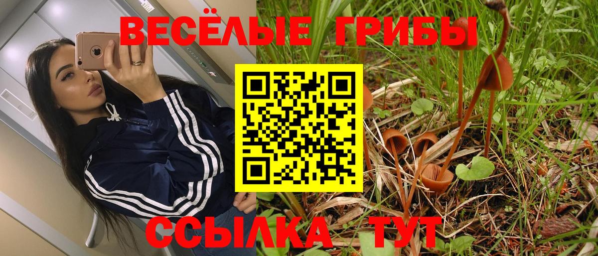 Галлюциногенные грибы мухоморы  Вход с VPN  Канск 