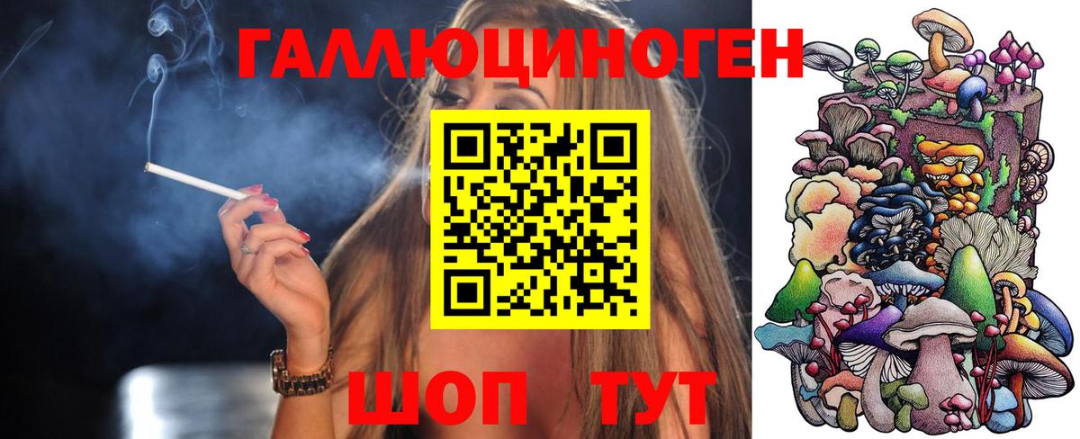 Галлюциногенные грибы Cubensis Канск
